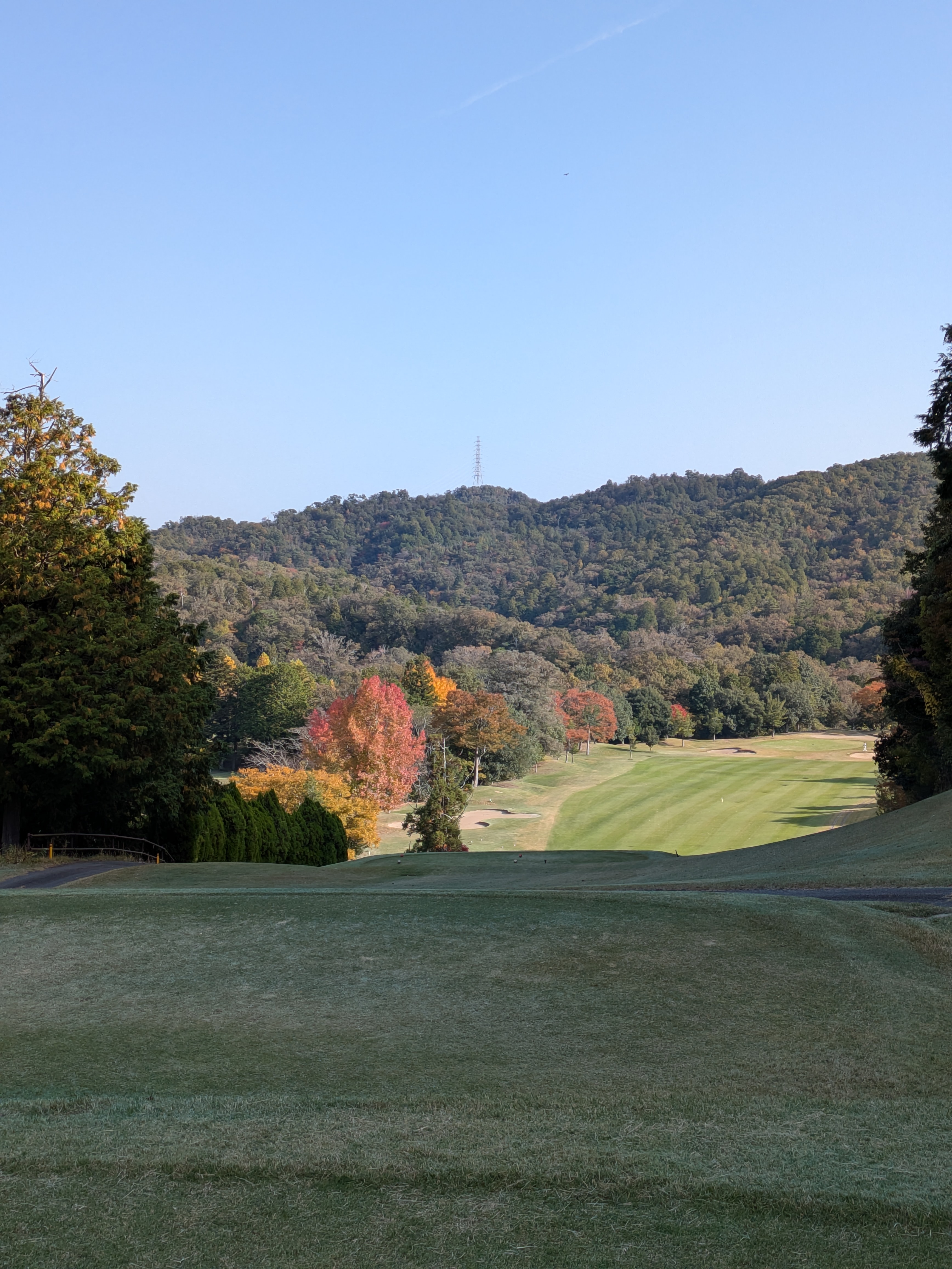 社員日記　FILE:011<br>エスエスネット:2025.11.8